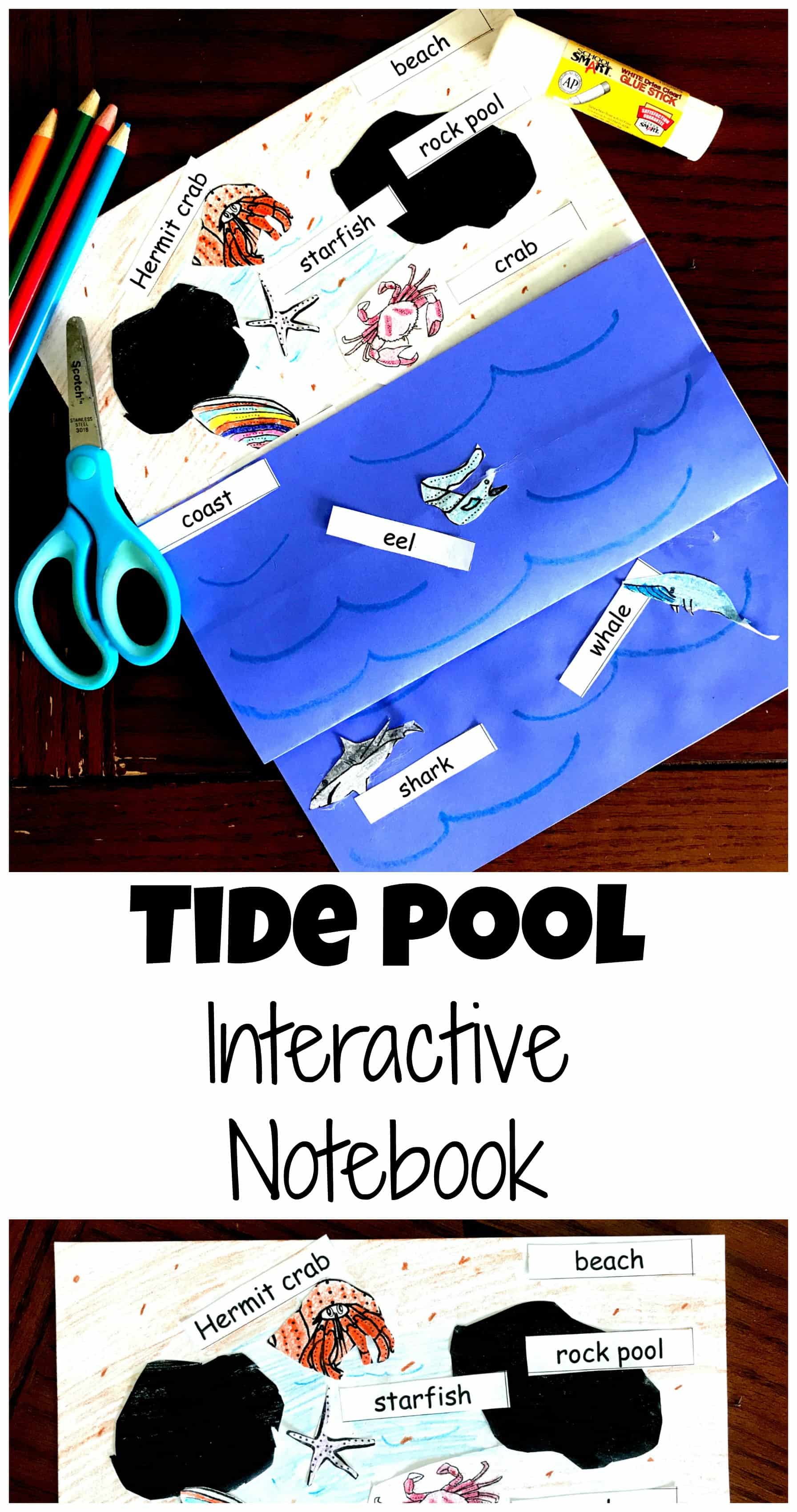 Interactive tides activity shown using blue construction paper and white paper with a hermit crab, starfish, rock pool, crab, and the ocean glued to it. 