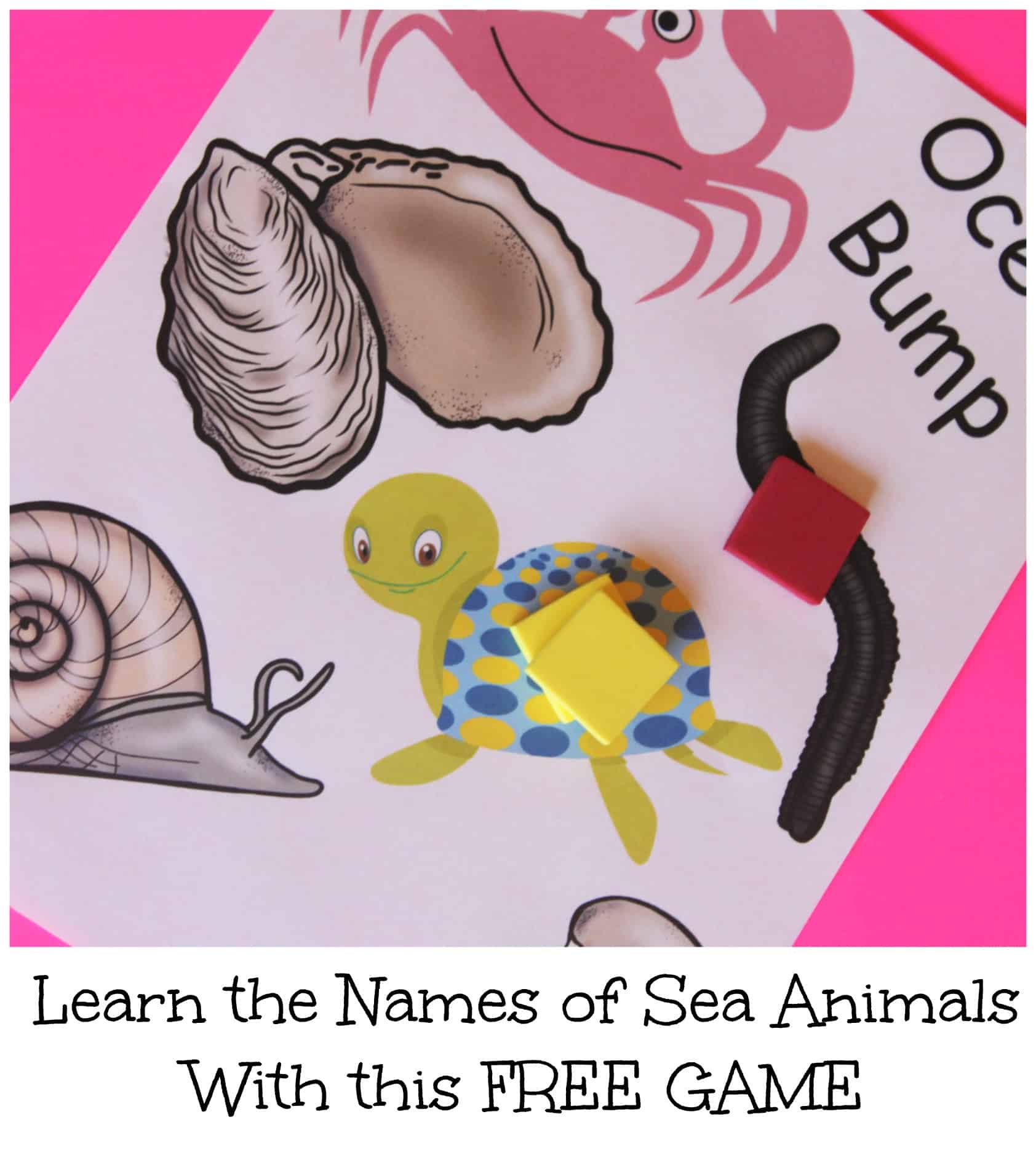 BUMP Game for Ocean Animals