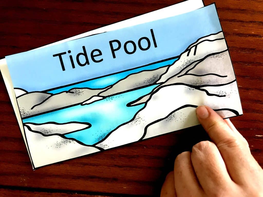 A homemade tide pool reader book with a finger pointing to the rocks. 