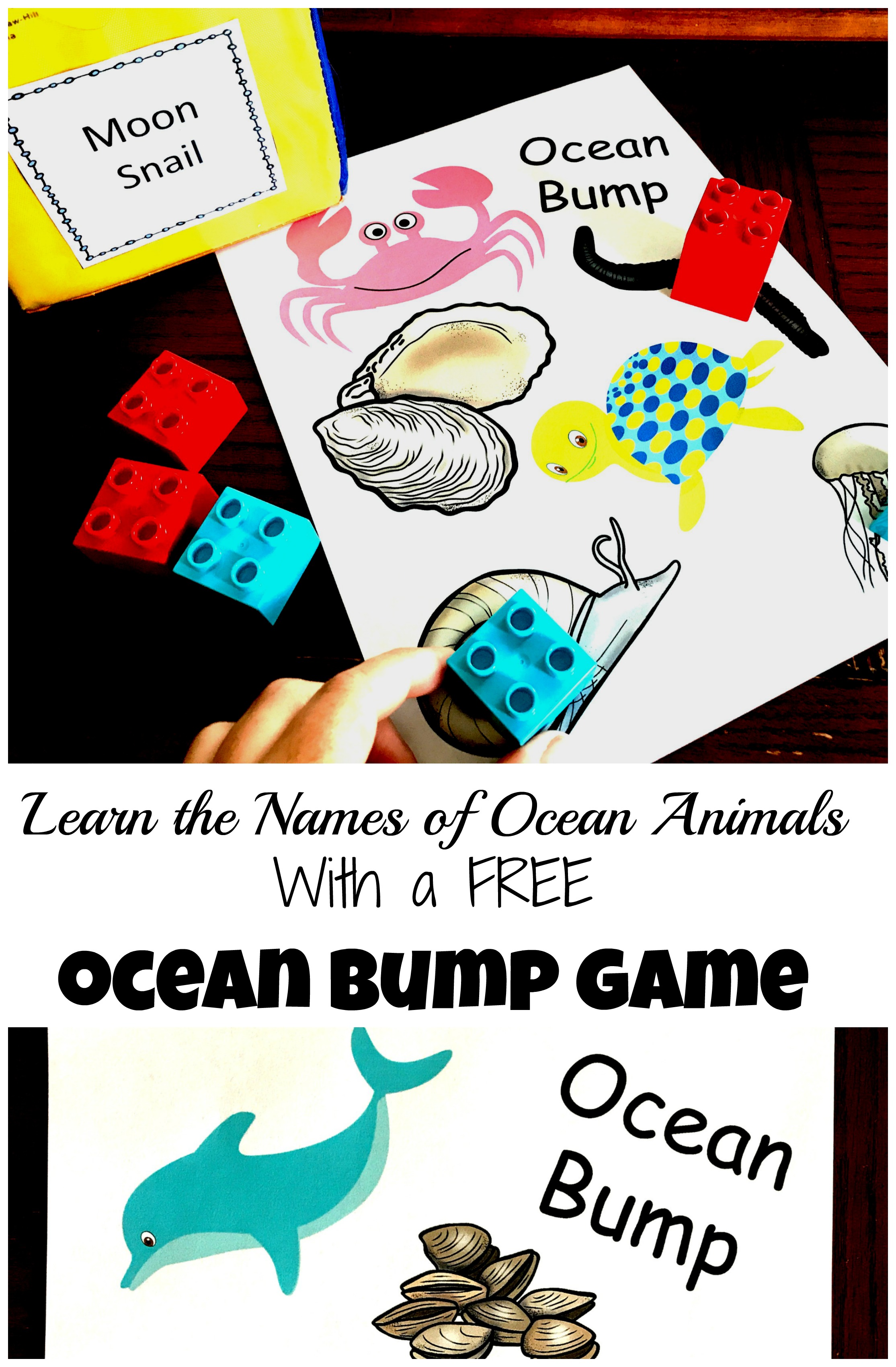 Sea animals game with various sea animals and lego blocks as game pieces. 