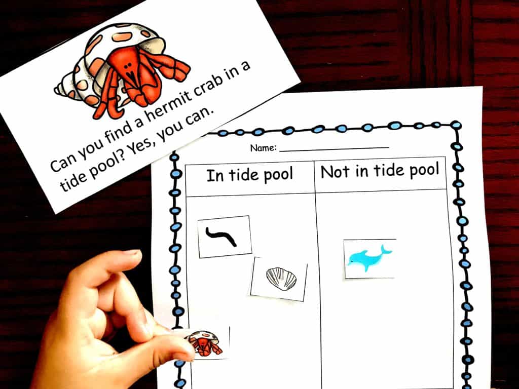 A cut and paste reader game with a card that shows a hermit crab with a question. A worksheet for sorting out which sea animals go in the tide pool and which ones are not in the tide pool. 