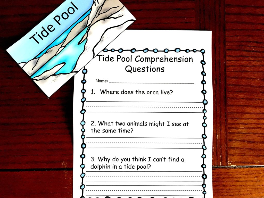 Tide pool comprehension questions worksheet that is blank. 