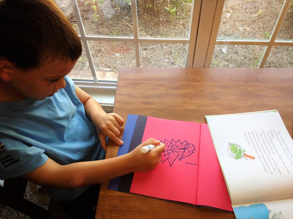 A little boy drawing a tree on red construction paper. 