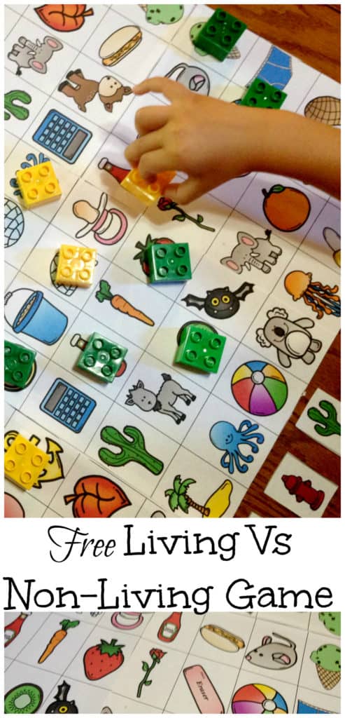 Living vs non living game worksheets with game pieces. 