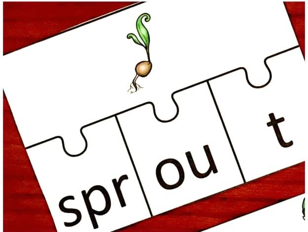 Trigraph activity worksheets to practice learning trigraphs. A trigraph of the word sprout, broken up into puzzle pieces. 