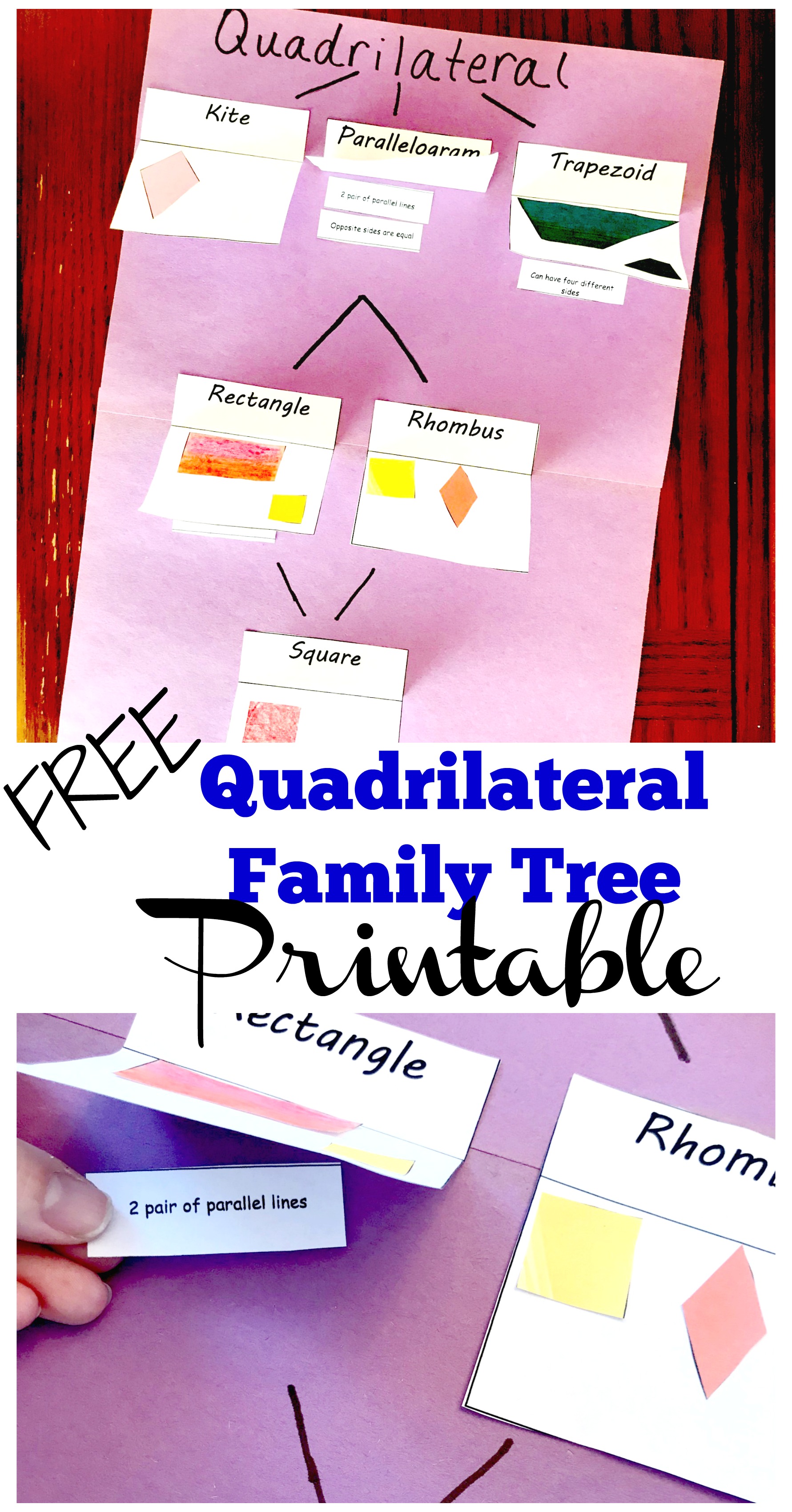 FREE Printables to Help You Create a Quadrilateral Family Tree