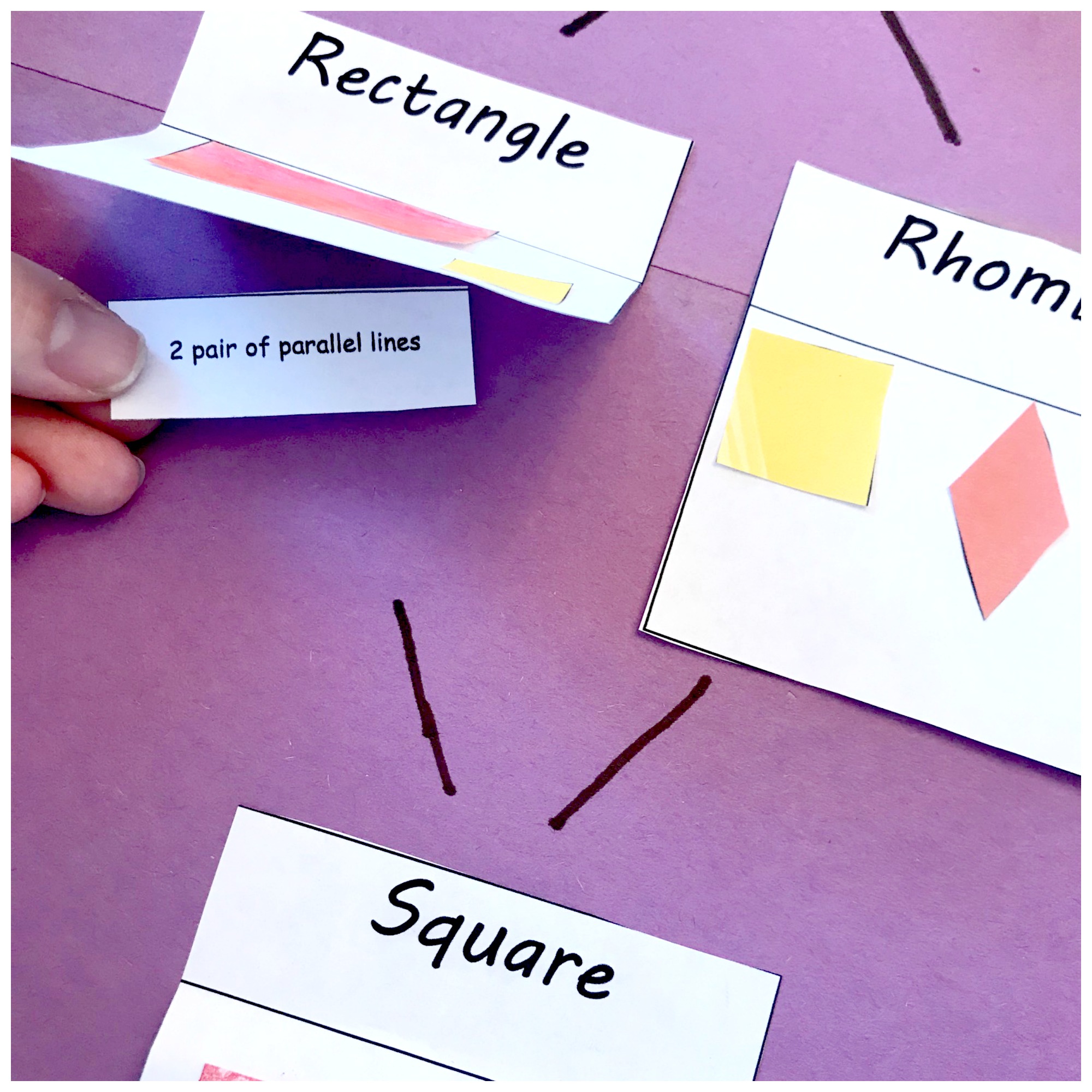 quadrilateral family tree