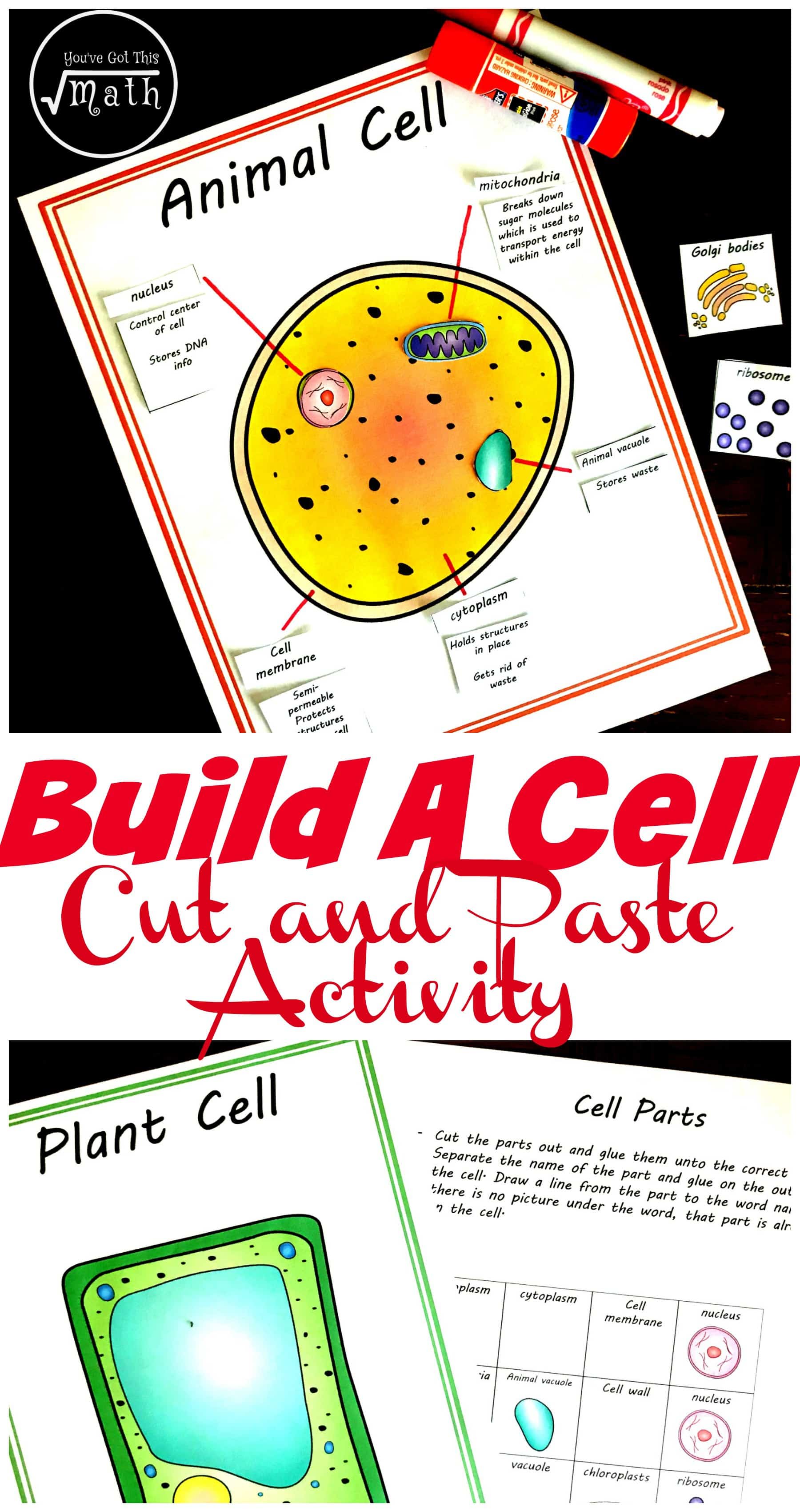 This free animal and plant cell worksheet, has children coloring in cell parts, cut and pasting them in the right cell, and finally comparing the cells. Perfect for Classical Conversations Science Cycle 1 Week 3.
