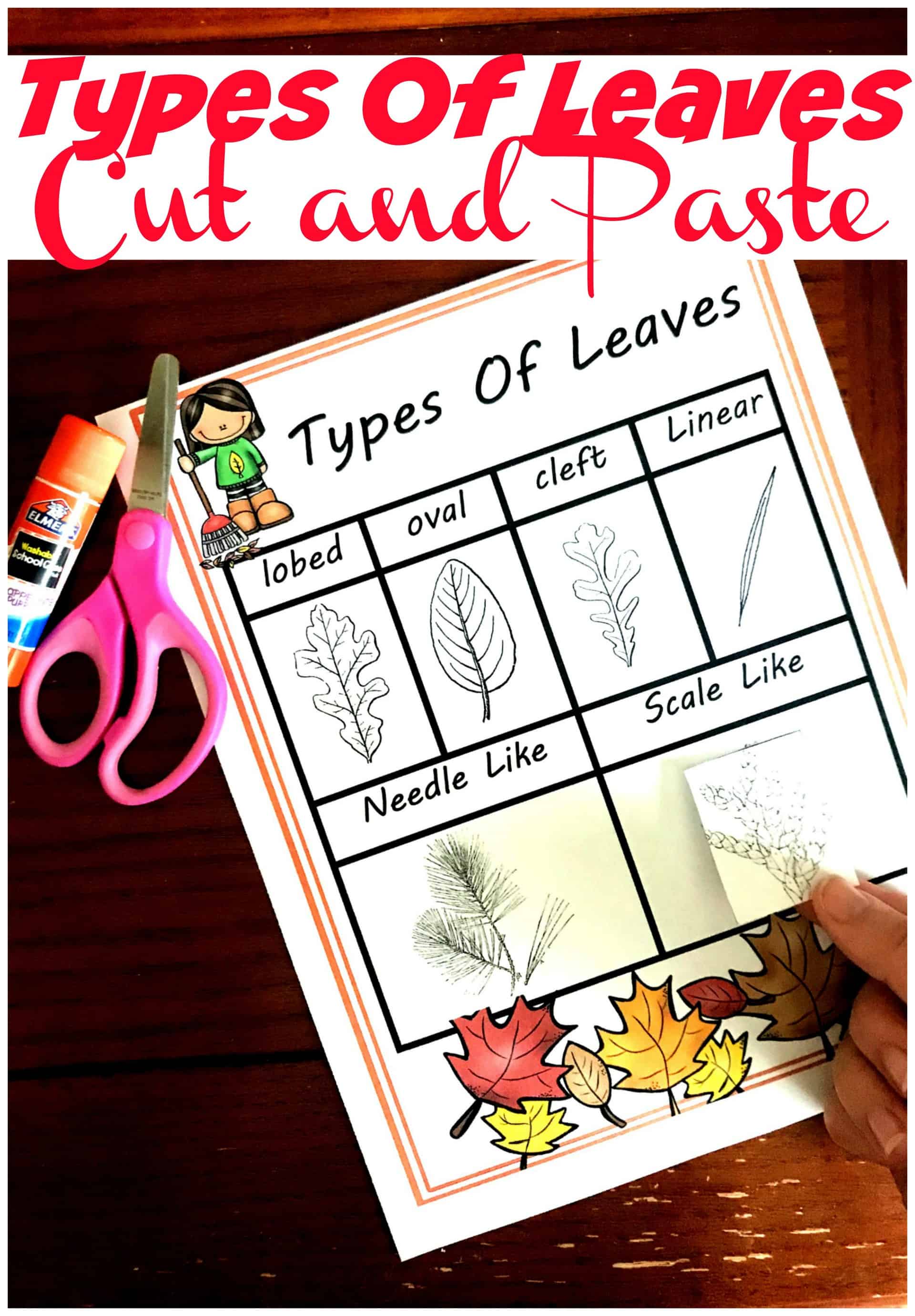 Free Activities For Learning About Types of Plant Leaves