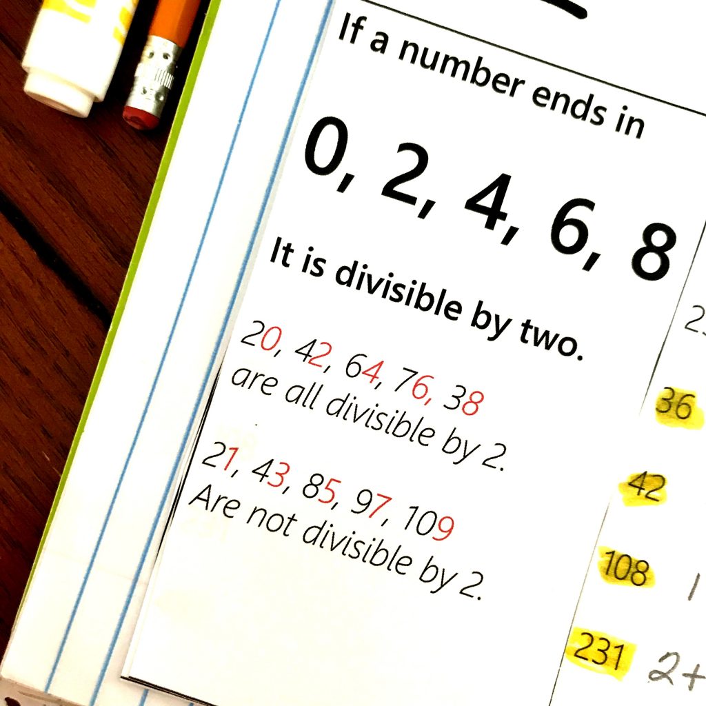 FREE Hands- On Divisibility Rules Interactive Notebook