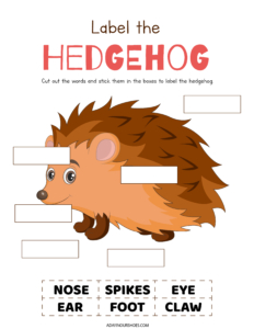 8 Free Hedgehog Worksheets | Printable