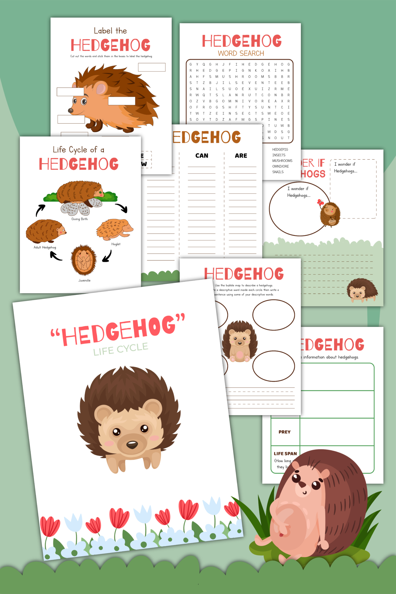 Free Hedgehog Worksheets | Printable