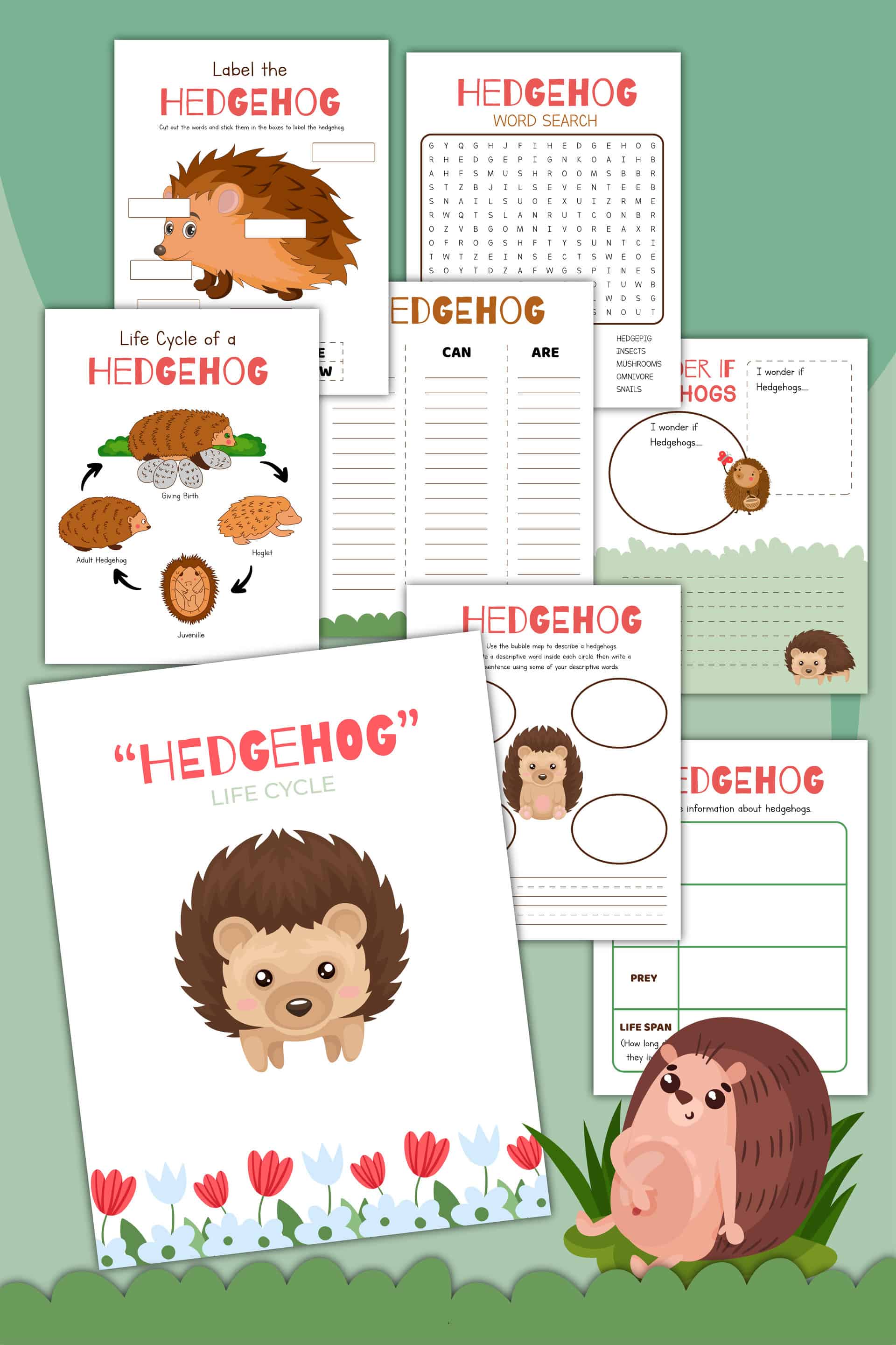 hedgehog worksheets
