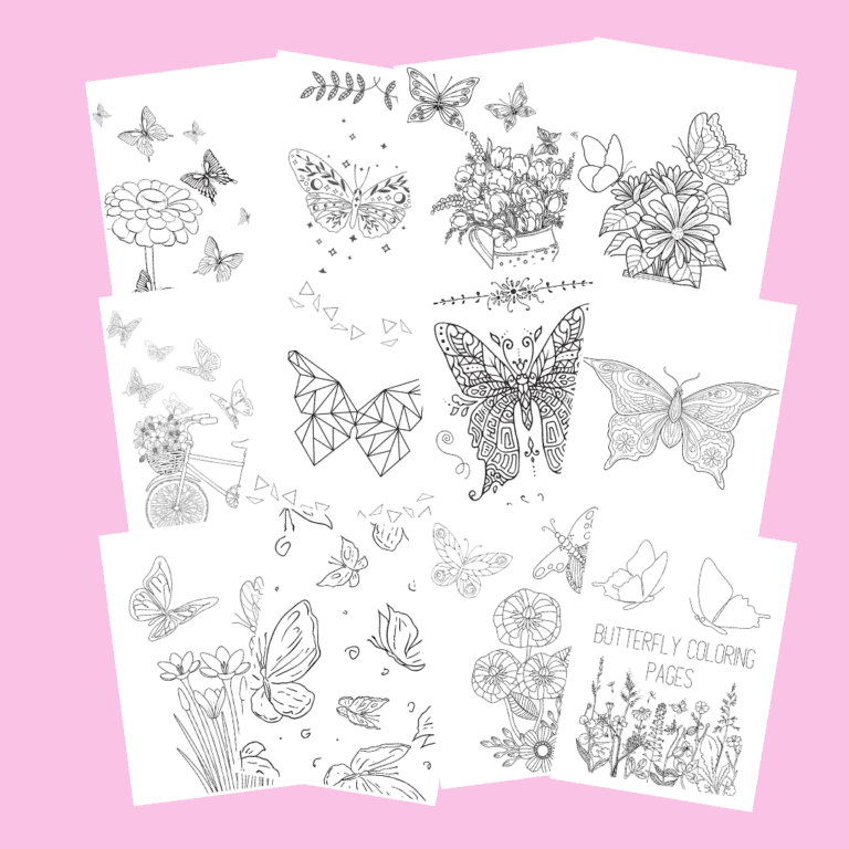 assortment of free butterfly coloring pages