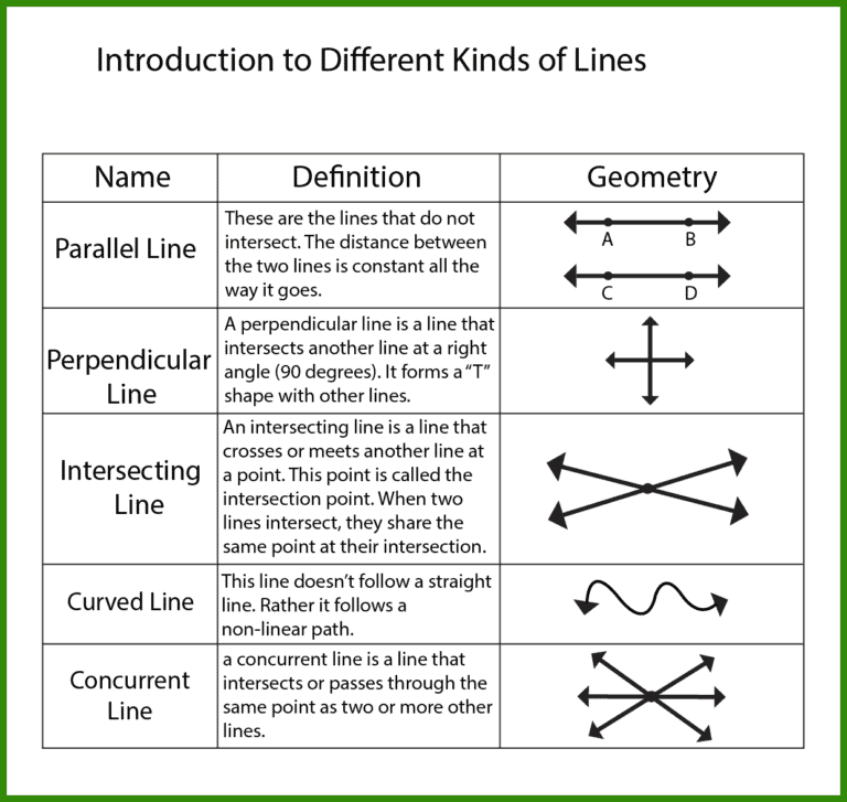 Free Lines Rays and Line Segments Worksheet | 10+ Pages