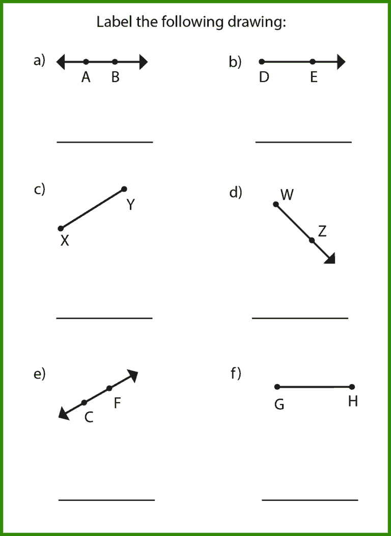 Free Lines Rays and Line Segments Worksheet | 10+ Pages