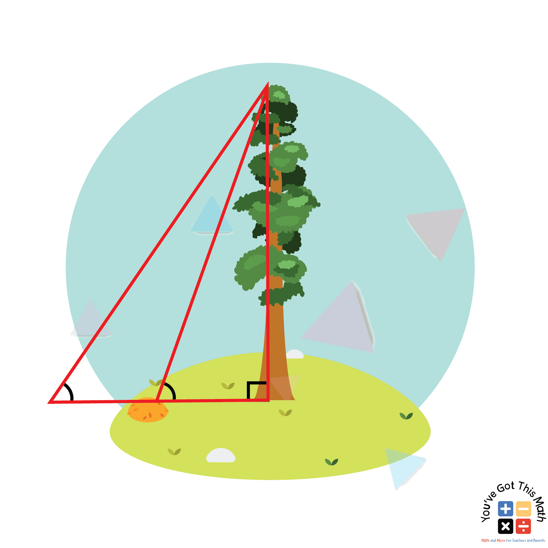 Measuring Tree or Building Height Using Triangle