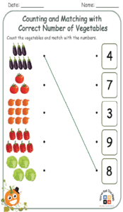 Counting and Matching with Correct Number of Vegetables 