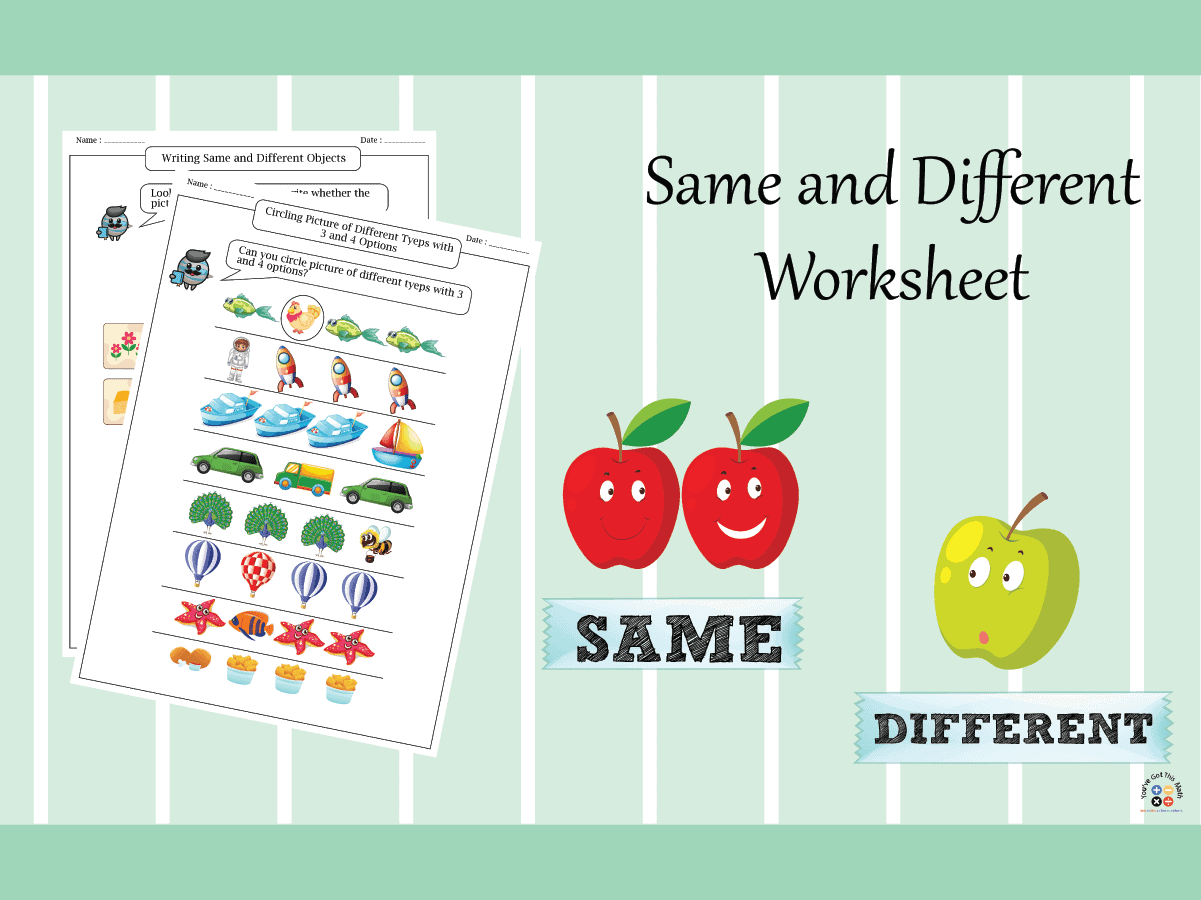 35+ Same and Different Worksheet | Free Printable