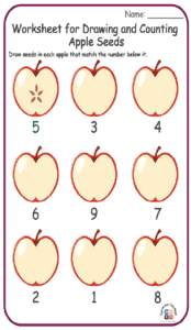 Worksheet for Drawing and Counting Apple Seeds 