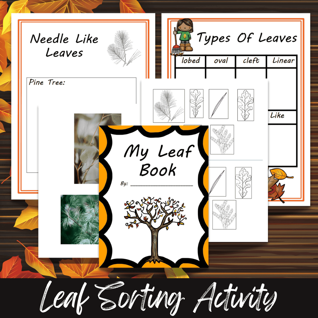 Leaf Sorting Cut & Paste Activity | Free Printable