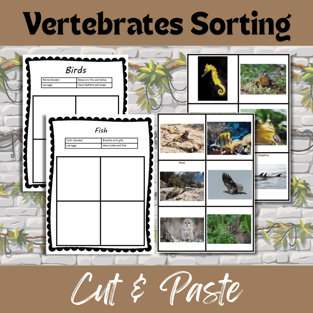 Vertebrates Sorting Cut & Paste Worksheets | Free Printable